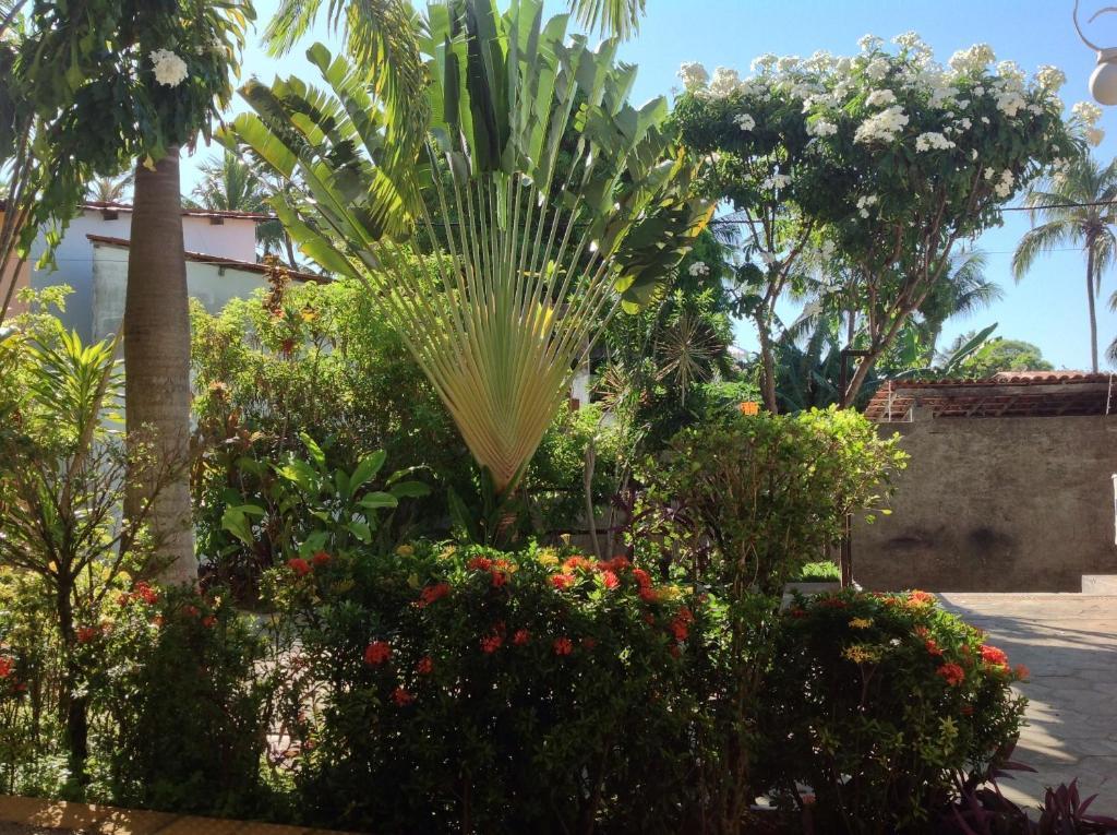 Apartamentos La Piazzetta Duplex Praia de Pipa Buitenkant foto